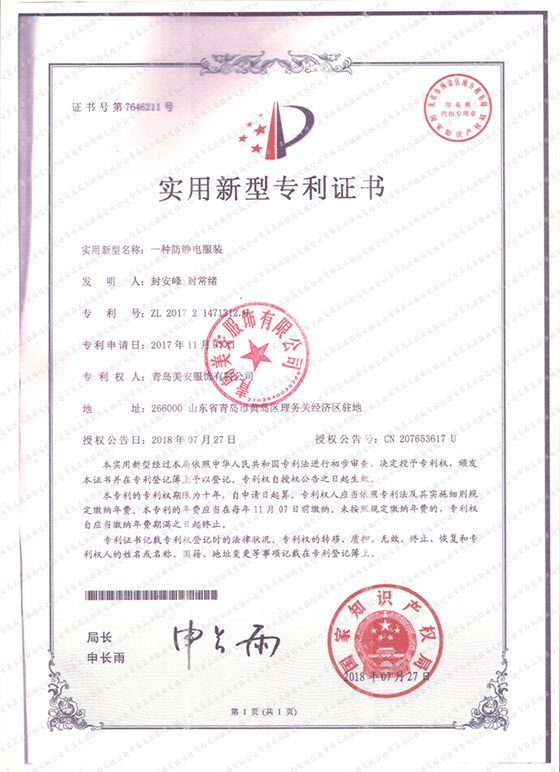 专利11