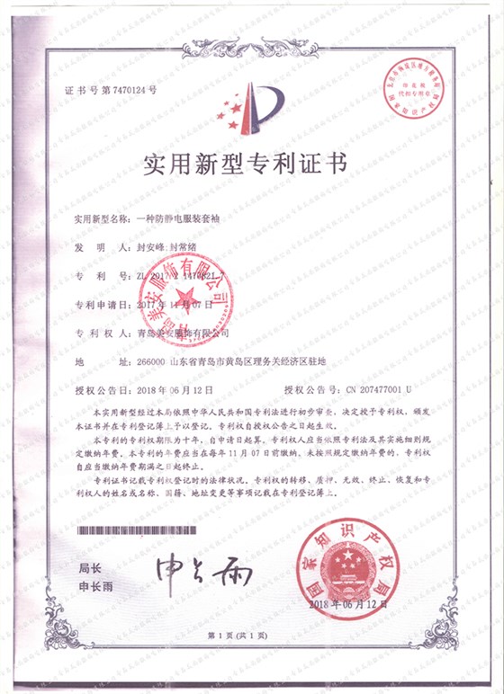 专利2