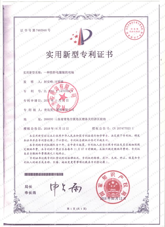 专利4